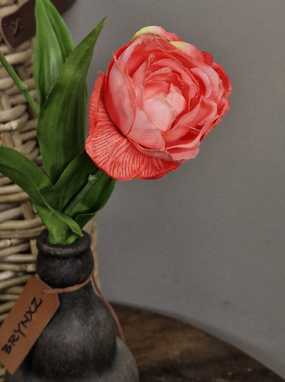 Brynxz Tulpe, 48 cm, lachs