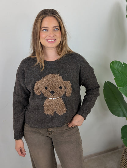 Teddy dog sweater - Bruin