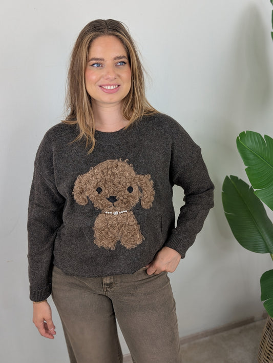 Teddy dog sweater - Bruin