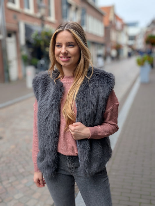 Ruth bont look gilet - Grijs