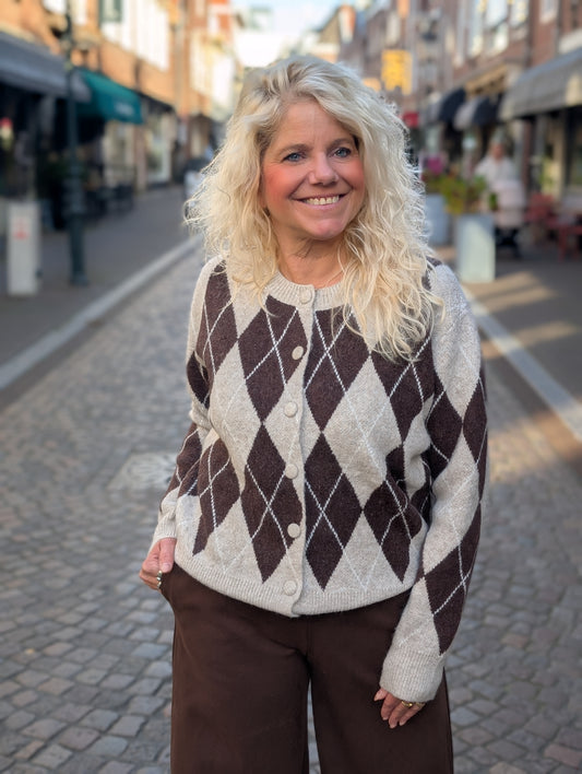 Geruit vest Fayenna - Beige/Bruin