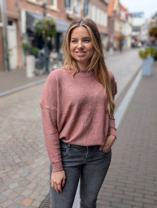 Glitter trui Naomi - Blush