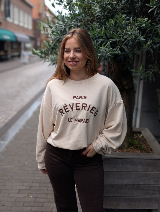 Paris reveries sweater - Beige/Bruin