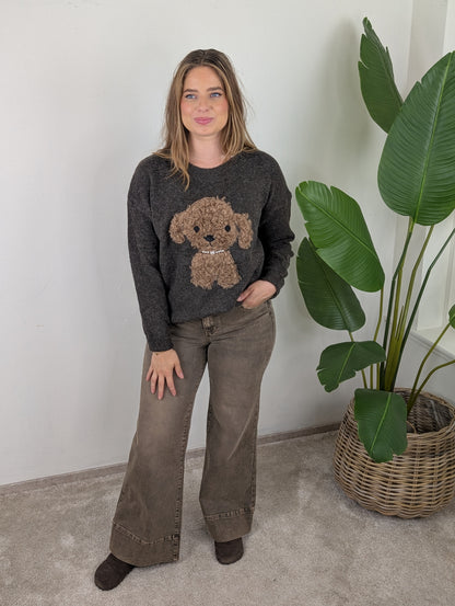 Teddy dog sweater - Bruin