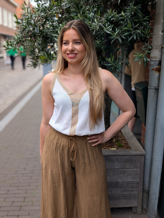 Mila glitter top met v-hals  - Off white / goud