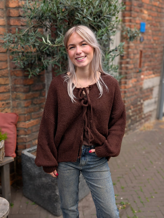 Lio trui vest strikjes - Bruin