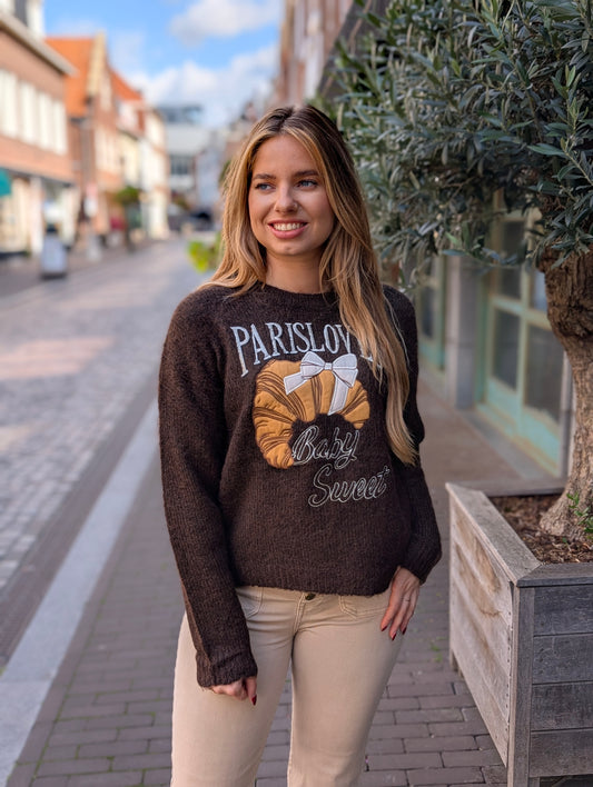 Paris loves trui - Bruin
