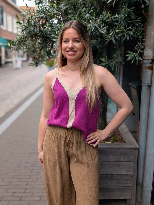 Mila glitter top met v-hals  - Magenta / goud