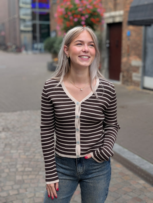 Pien gestreept vestje - Bruin/Beige