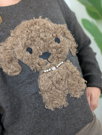 Teddy dog sweater - Bruin