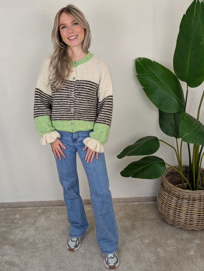 Gestreept colour block vest Evy - Groen