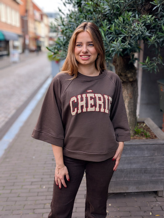 Cherie sweater - Bruin/ bordeaux