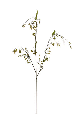 CHASMANTHIUM SPRAY 87CM - GREEN