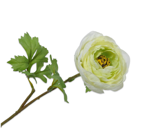 RANONKEL STEEL - Silk-ka flowers