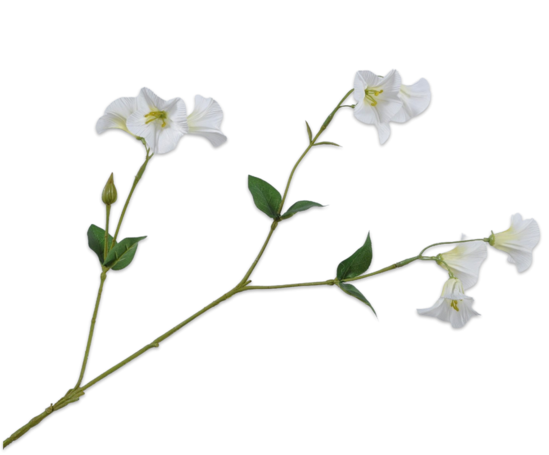 SILK-KA CAMPANULA TAK - Creme