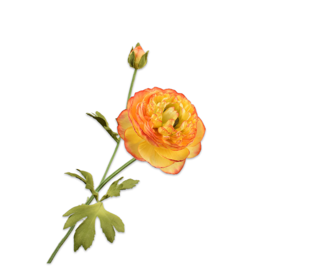 RANONKEL STEEL ORANJE - Silk-ka flowers