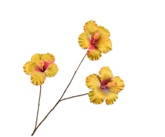 HIBISCUS TAK GL/OR - Silk-ka flowers