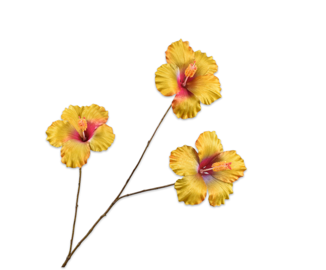 HIBISCUS TAK GL/OR - Silk-ka flowers