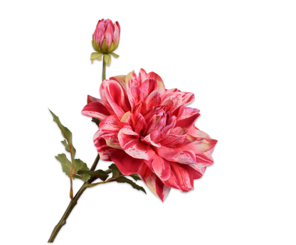 DAHLIA TAK PINK - Silk-ka flowers