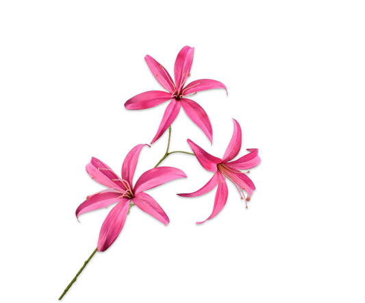 LELIE STEEL PINK - Silk-ka flower