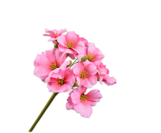 SILK-KA PRIMULA STEEL ROZE