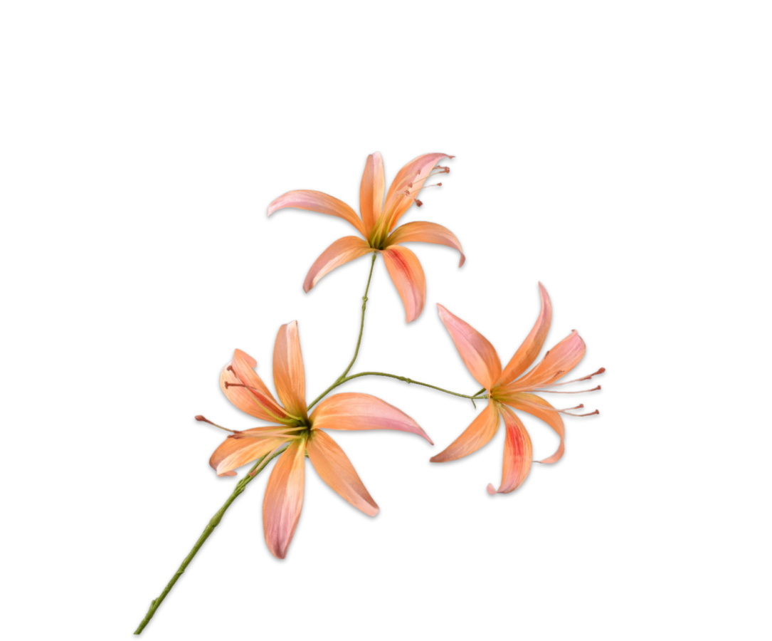 LELIE STEEL PERZIK - Silk-ka flower