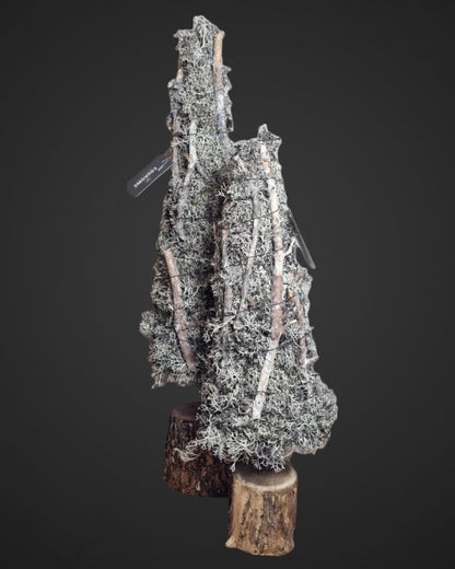 Tree cone grey moss and sticks on treetrunck - 2 formaten
