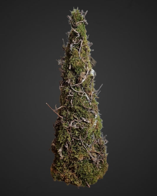 Cone tree moss with bonsai - Green - 55x18