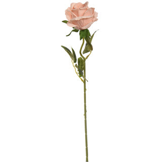 Single Rose 50cm - Perzik