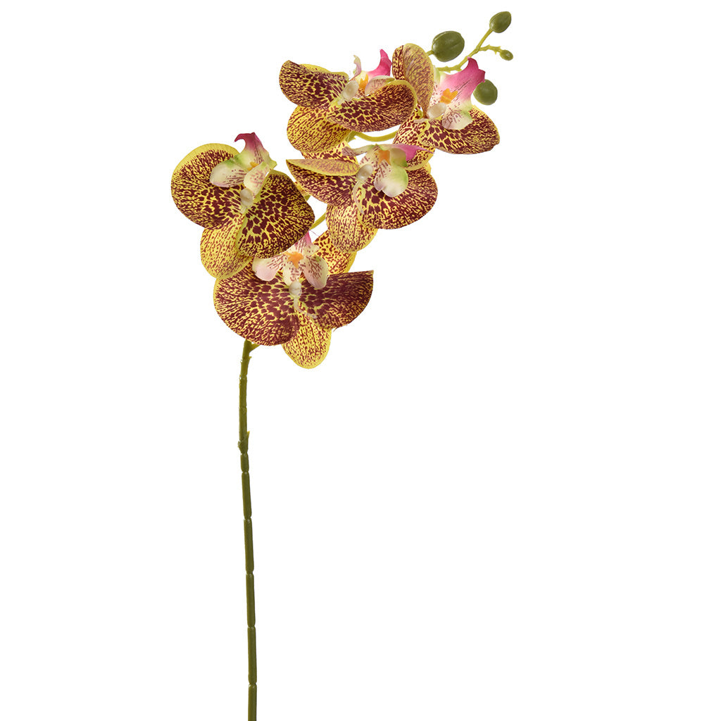TROPICAL ORCHID 70CM - YELLOW