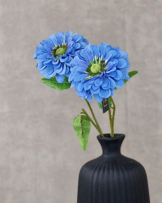 Zinnia 58cm - Blauw