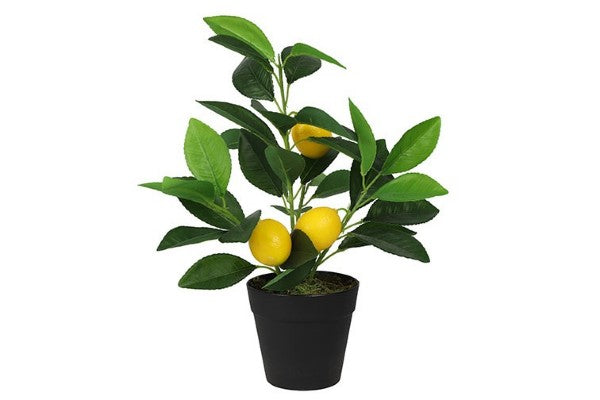 Countryfield Citrus mitis groen kunstplant in pot - 20x20x30